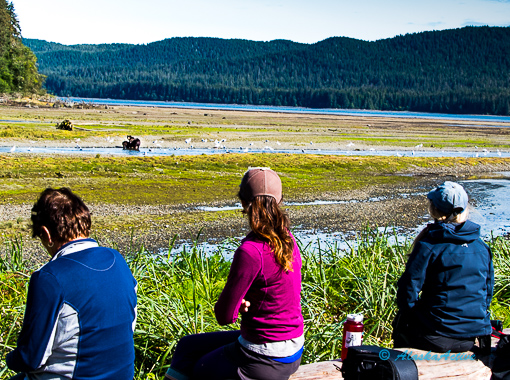 Bear viewing with a ranger at Admiralty Island