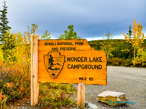 Shuttle Bus Wonder Lake
