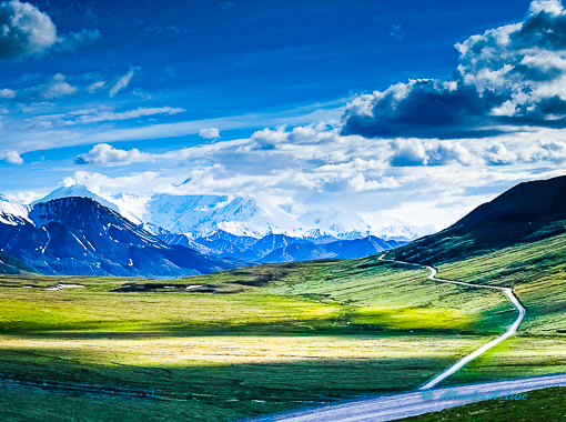 Kantishna Wilderness Tour