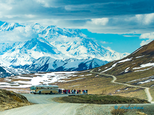 Mt. Denali from the Denali Park Road