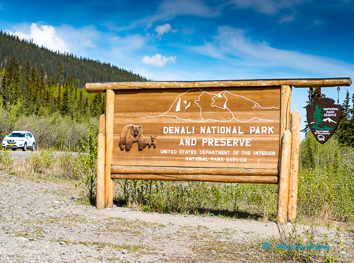 Denali National Park landscape during road trip
