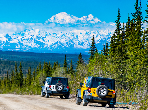Denali Jeep Safari
