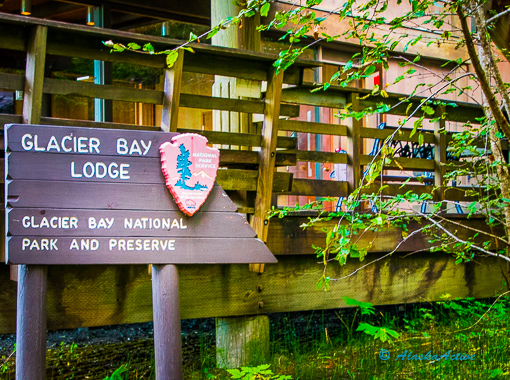 Glacier Bay Lodge stay