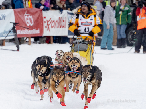 Musher at the Willow Restart