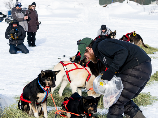 Musher at Rainy Pass Checkpoint