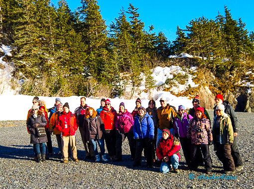 Group watching the Iditarod Dog Team at Checkpoint
