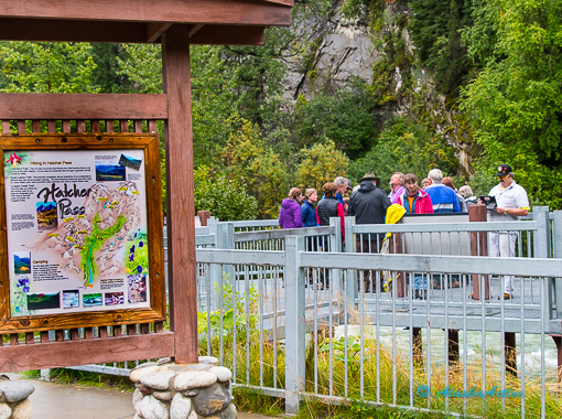 Halibut Cove Sights
