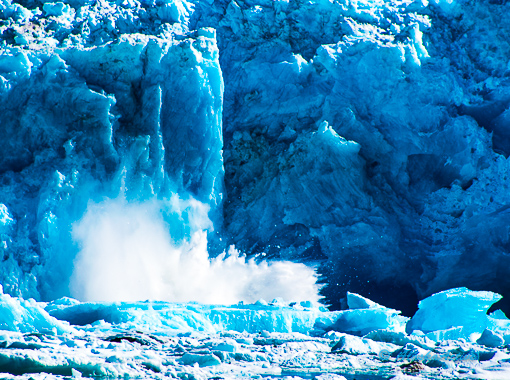 Kenai Fjords Glacier Cruise