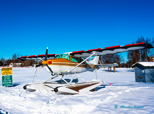 Bush plane at an Iditarod checkpoint