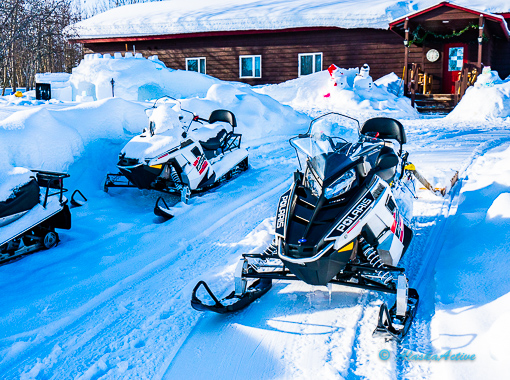 Best snowmobile tour in Anchorage
