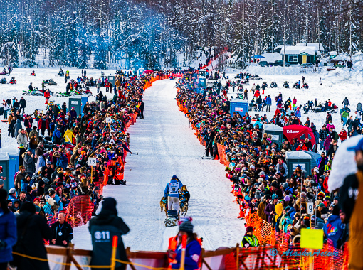 Willow Iditarod Restart