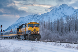Alaska Railroad ride in Winter